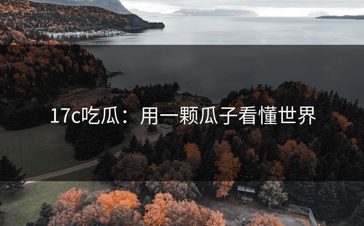 17c吃瓜：用一颗瓜子看懂世界