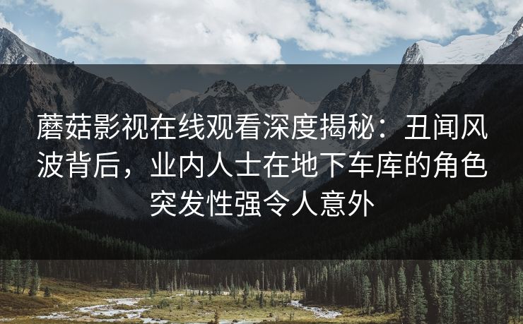 蘑菇影视在线观看深度揭秘：丑闻风波背后，业内人士在地下车库的角色突发性强令人意外