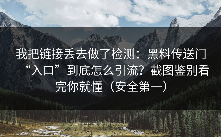 我把链接丢去做了检测:黑料传送门“入口”到底怎么引流?截图鉴别看完你就懂(安全第一) 我把链接丢去做了检测:黑料传送门“入口”到底怎么引流?截图鉴别看完你就懂(安全第一)